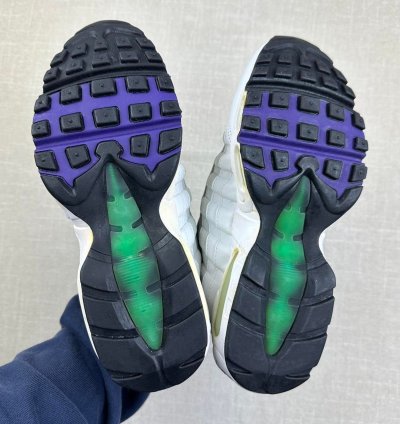 2005 Nike Air Max 95 Wild Grape