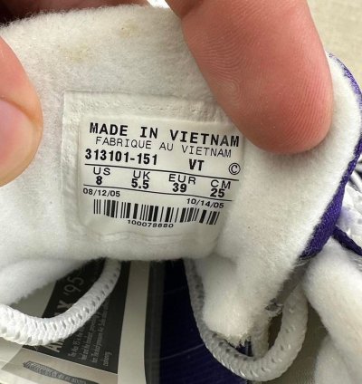 2005 Nike Air Max 95 Wild Grape