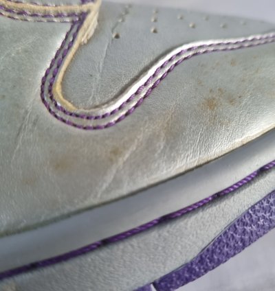 2007 Nike Dunk High Premium Sb Dinasour Junior