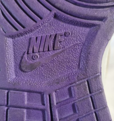 2007 Nike Dunk High Premium Sb Dinasour Junior