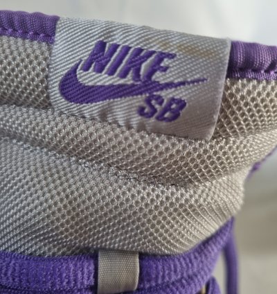 2007 Nike Dunk High Premium Sb Dinasour Junior