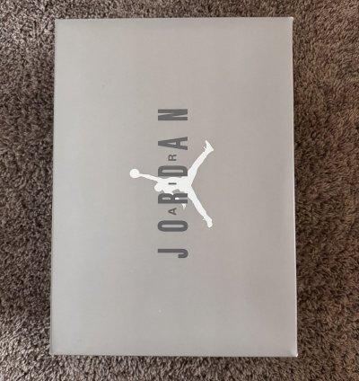 Jordan 11 Cool Grey