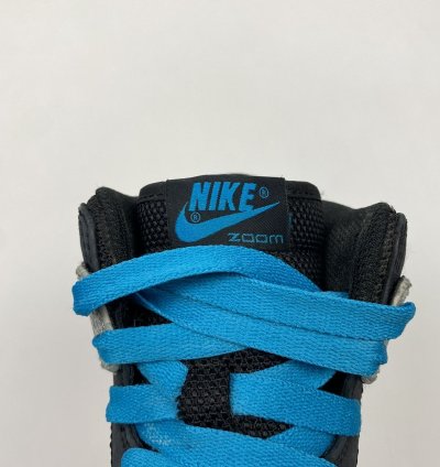 2008 Nike Dunk Hi Supreme Spark Safari