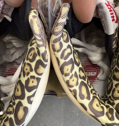 2008 Nike Sb Dunk High Ferris Bueller