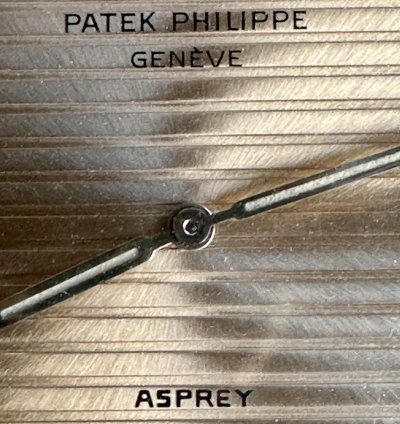 Patek Philippe Nautilus Ref 3700 11