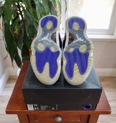 Jordan 11 Space Jam 2016