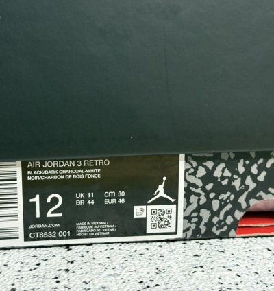 Jordan 3 Black Cat