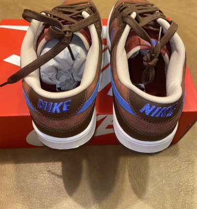Cacao Wow Nike Sb Dunks Size 13 Nwt