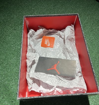 Jordan 3 White Cement Reimagined Size 11