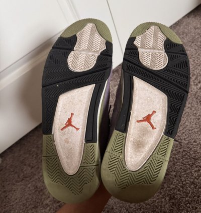 Jordan 4 Canyon Purple