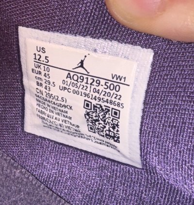 Jordan 4 Canyon Purple
