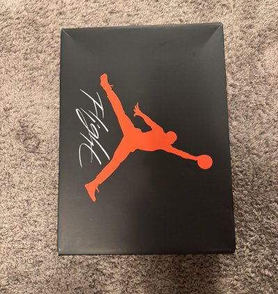 Jordan 4 Canyon Purple