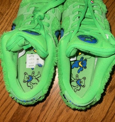 Grateful Dead Nike Sb Dunk Bear Green