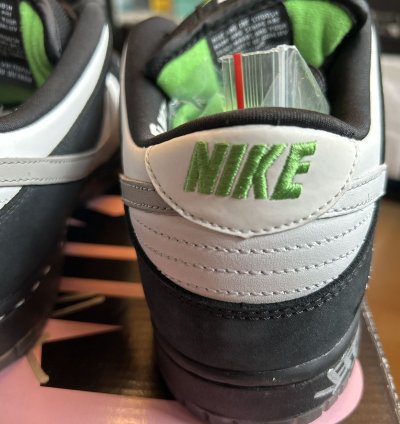 Jeff Staple Signed Pigeon Nike Sb Dunk