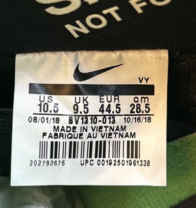 Jeff Staple Signed Pigeon Nike Sb Dunk