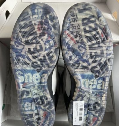 Jeff Staple Signed Pigeon Nike Sb Dunk
