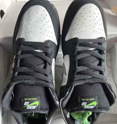 Jeff Staple Signed Pigeon Nike Sb Dunk