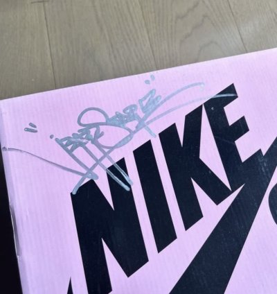 Jeff Staple Signed Pigeon Nike Sb Dunk