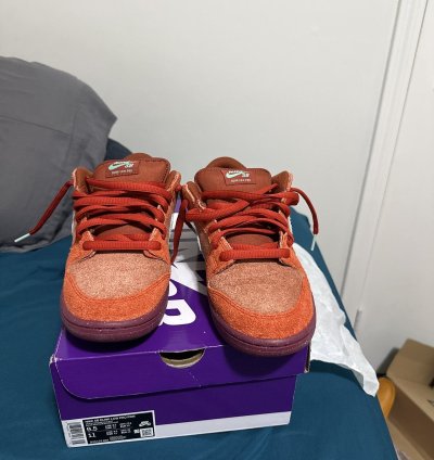 Mystic Red Nike Sb Dunk 9 5