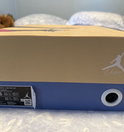 Jordan 4 Guava