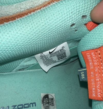 Nike Dunks Sb Orange Emerald