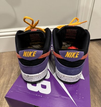 Nike Sb Dunk Acg Terra