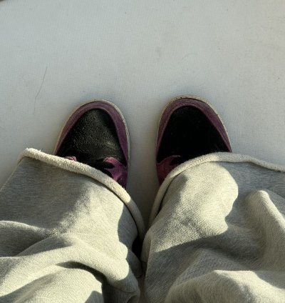 Nike Sb Dunk Acg Terra Purple Black