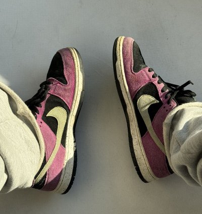 Nike Sb Dunk Acg Terra Purple Black