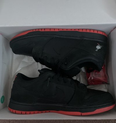 Nike Sb Dunk Black Pigeon Jeff Staple