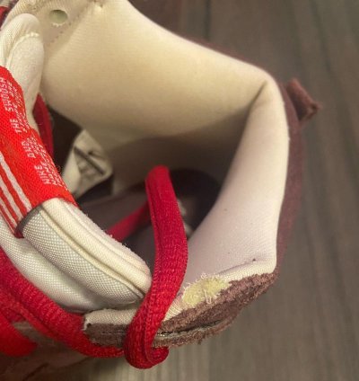 Nike Sb Dunk Budweiser