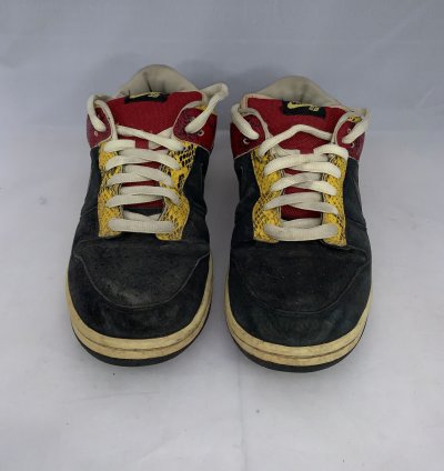 Nike Sb Dunk Coral Snake 2007 Size 9