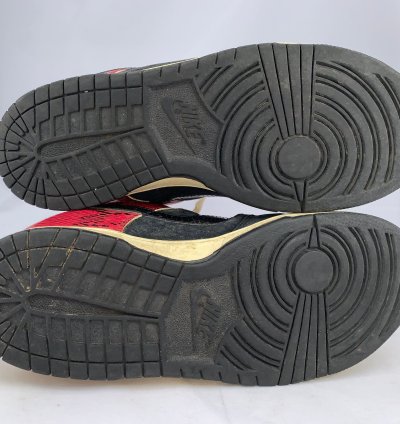 Nike Sb Dunk Coral Snake 2007 Size 9