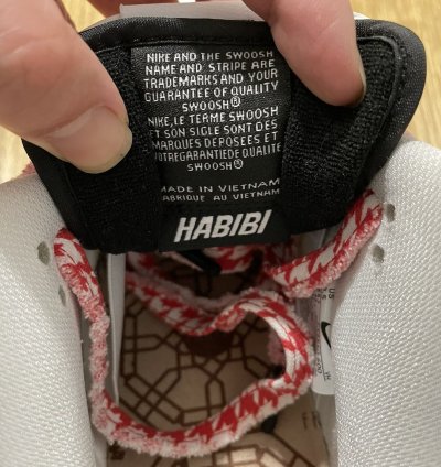 Nike Sb Dunk Frame Skate Habibi