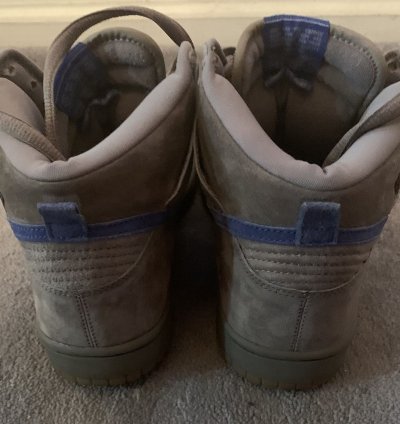 Nike Sb Dunk Hi Iron 2003 Sz 10