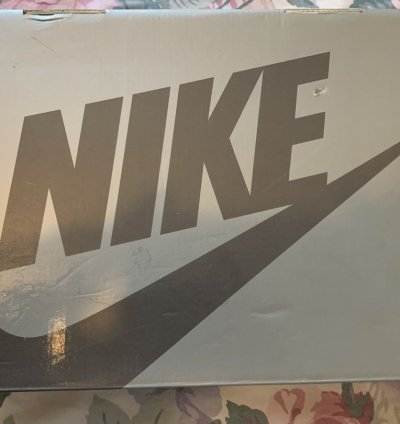 Nike Sb Dunk Hi Iron 2003 Sz 10