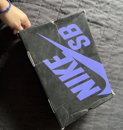 Nike Sb Dunk Hi Low Pro Brute Rare 10