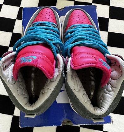 Nike Sb Dunk High Brain Wreck
