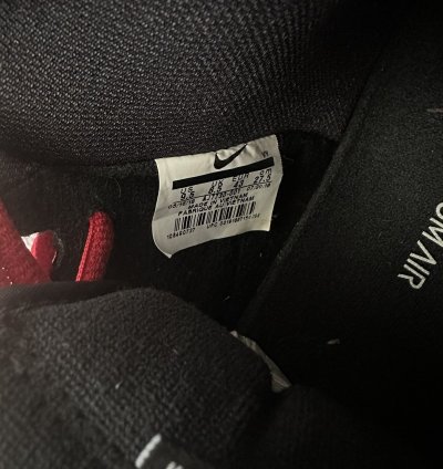 Nike Sb Dunk High Bred