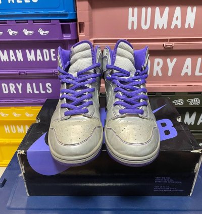 Nike Sb Dunk High Dinosaur Jr