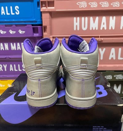 Nike Sb Dunk High Dinosaur Jr