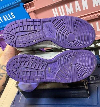 Nike Sb Dunk High Dinosaur Jr