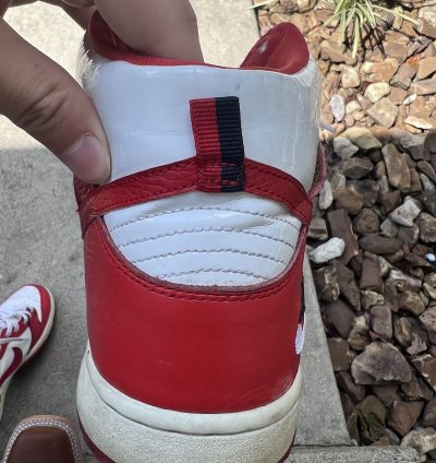 Nike Sb Dunk High Future Court Red
