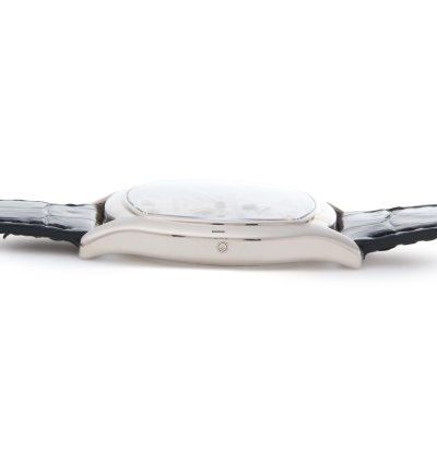 Patek Philippe Perpetual Calendar 18k White Gold 5940g-001 - Com003403