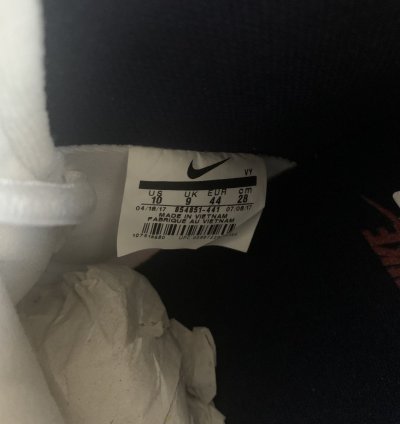 Nike Sb Dunk High Pro Dream Team