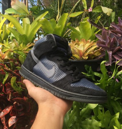Nike Sb Dunk High Pro Gino Iannucci