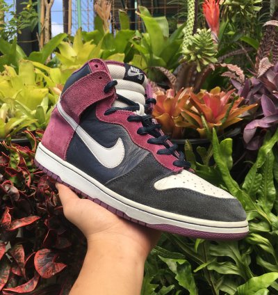 Nike Sb Dunk High Pro Un-heavens Gate