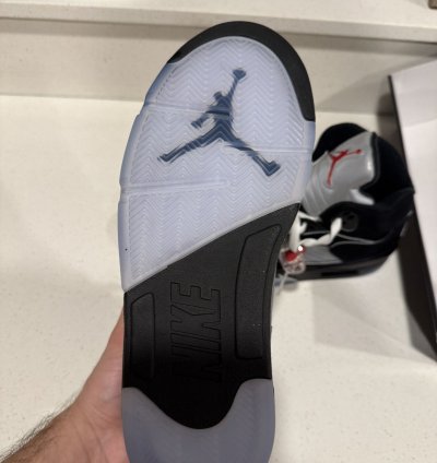 Jordan 5 Metallic