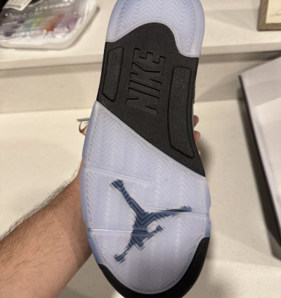 Jordan 5 Metallic
