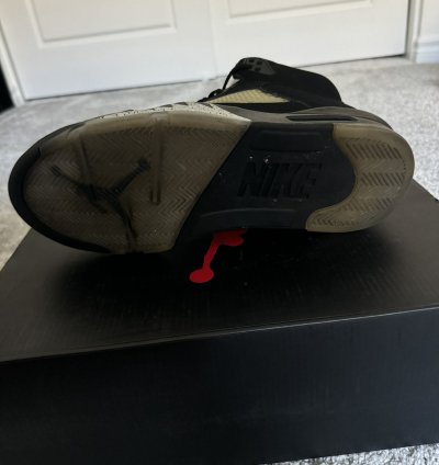 Jordan 5 Metallic 2016