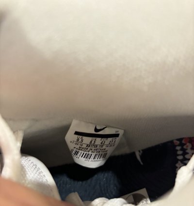 Nike Sb Dunk High Trd Qs Wolf In Sheep Clothing
